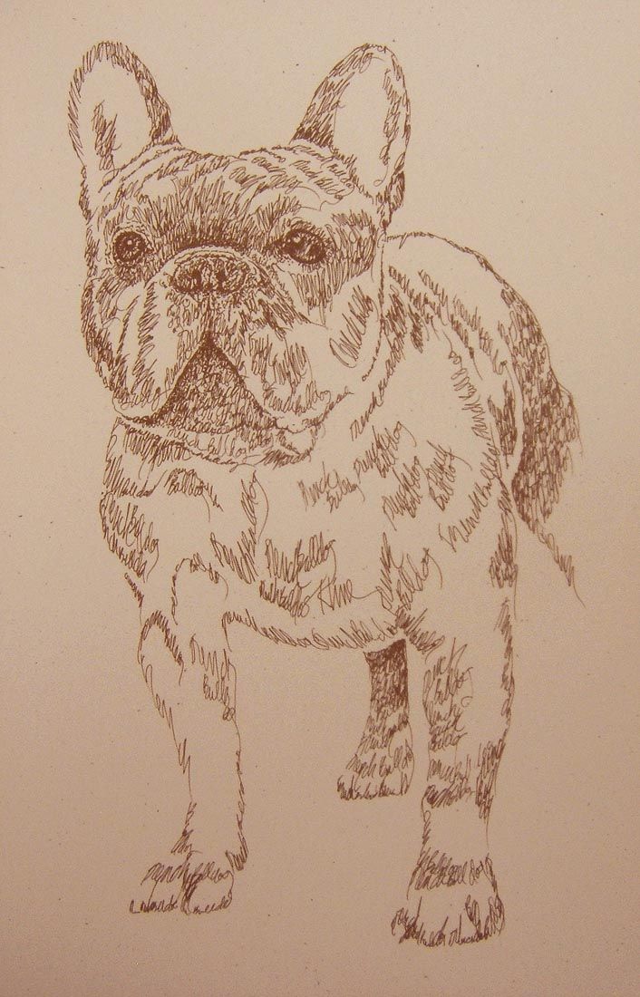 French Bulldog Dog Art Stephen Kline Lithograph 130 Drawn Using Only