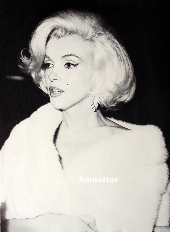 Marilyn Monroe Double Sided Pin Up Mink Stole Photo